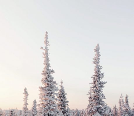 ian-keefe-FfnKDDHaW0E-unsplash-min